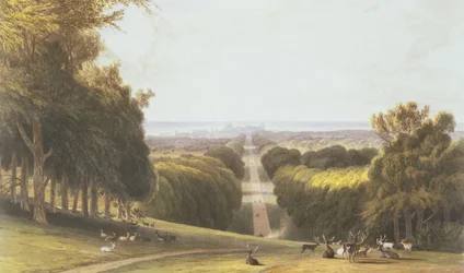 The Long Walk, Windsor Park, från en sammanställning av vyer över Windsor, Eton och Virginia Water, ca 1827-30